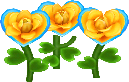 orange heart roses