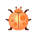 orange moonbug