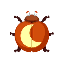橙色賞月瓢蟲