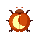 coccilune orange