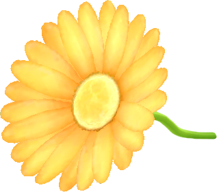 yellow daisy parasol