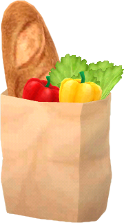 paper grocery bag