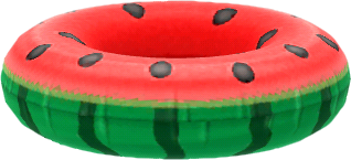 watermelon tube floatie