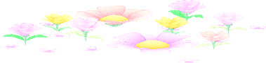 parterre fleurs pastel