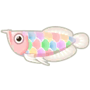 粉嫩奇幻骨舌魚