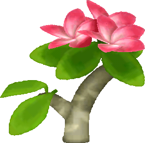 red plumeria