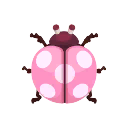 핑크색 꽃무당벌레