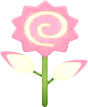 핑크색 회오리어묵꽃