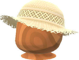 chapeau de paille tropical