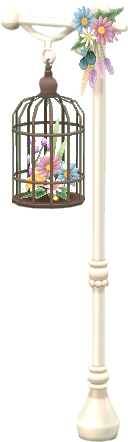 cage fleurs séchées