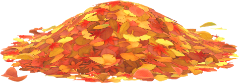 커다란 낙엽 더미