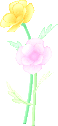 Riesen-Pastellblumen
