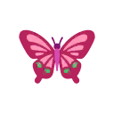pink splendifly