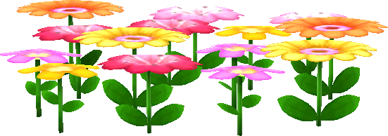 parterre fleurs roses