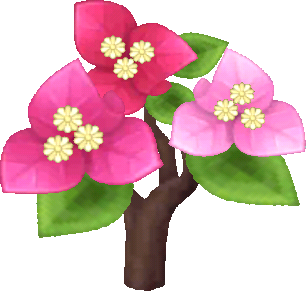 Rosa-Drillingblumen