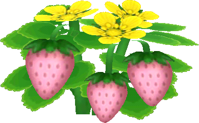 pink strawberries