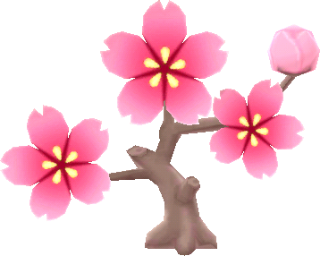 sakura rosa