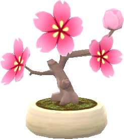 핑크색 벚꽃 화분