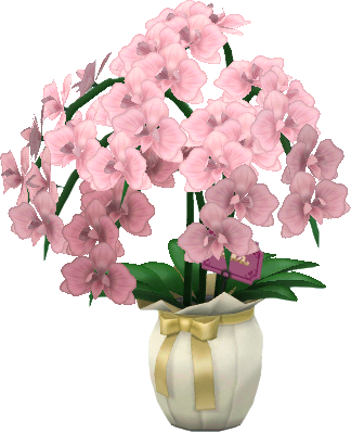 orquídeas mariposa rosas