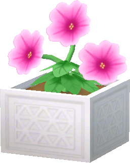 potted pink petunias