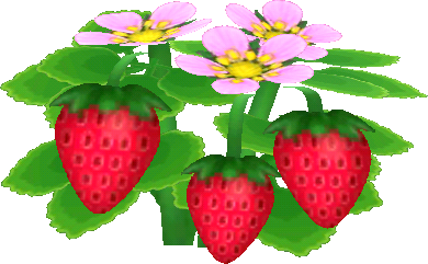 Rot-Erdbeere