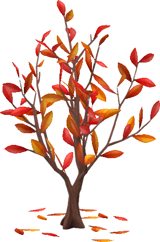 빨간색 가을빛 올리브 나무