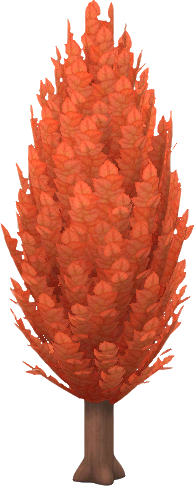 cyprès rouge p. automnal