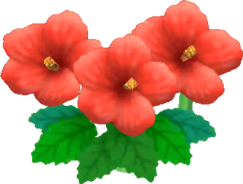 fiore di ibisco rosso