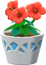 hibiscus rouge en pot