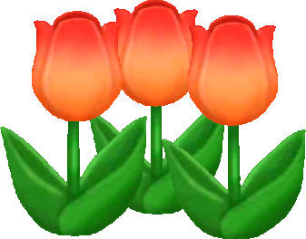 tulipán primaveral rojo