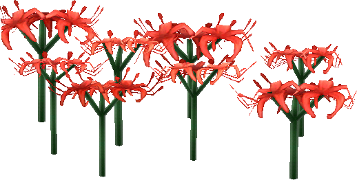 Rot-Spinnenlilien