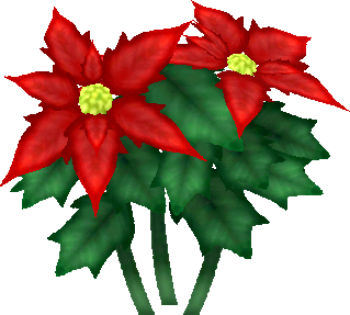 poinsettias rouges