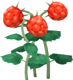 Rotbeeren