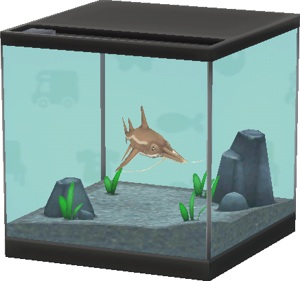 aquarium requin scie