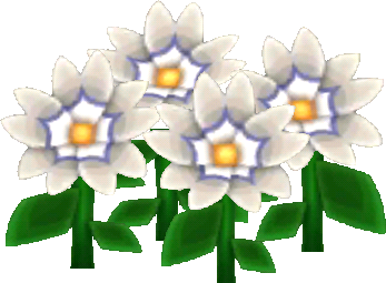 白色冬天花朵
