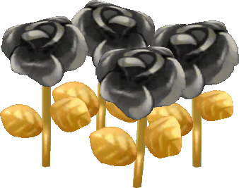 black luxe roses