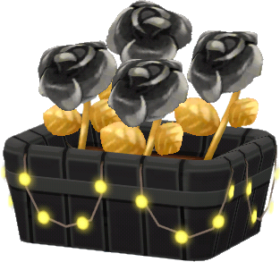 roses noires en pot