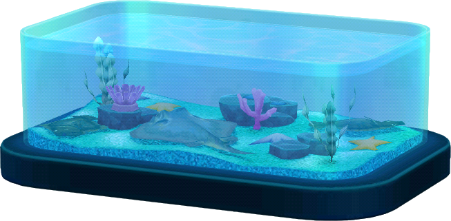 Seicht-Aquarium