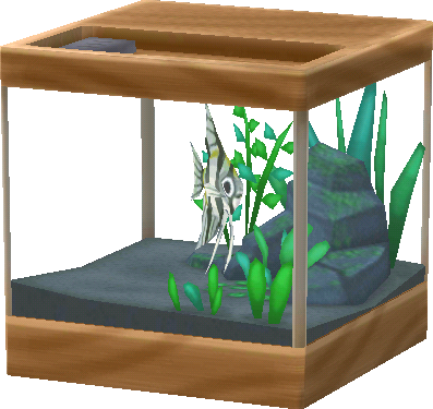 angelfish tank