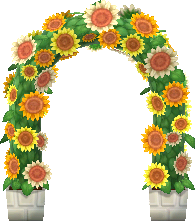 arco girasoles