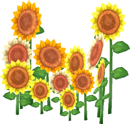 Sonnenblumenfleckchen