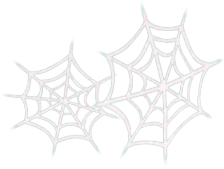幽靈森林蜘蛛網