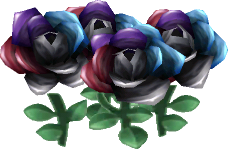 black shredroses