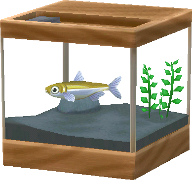 pond smelt tank