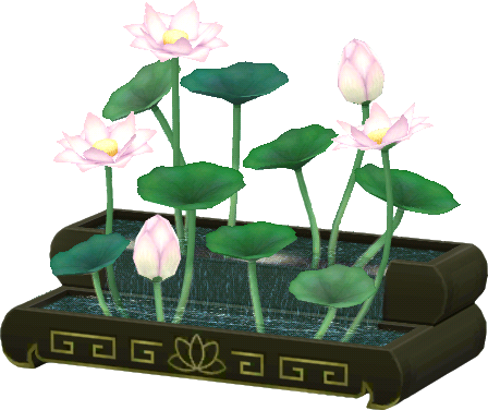 tearoom lotus pond