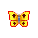 mariposa topacio