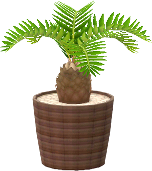 petit palmier en pot