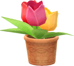 handheld potted tulips