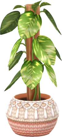woolly-potted pothos