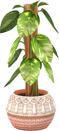 pothos en pot tricoté